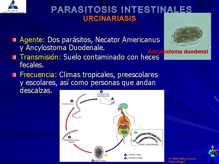 URCINARIASIS Agente: Dos parásitos, Necator Americanus y Ancylostoma Duodenale. Ancylostoma duodenal Transmisión: Suelo contaminado