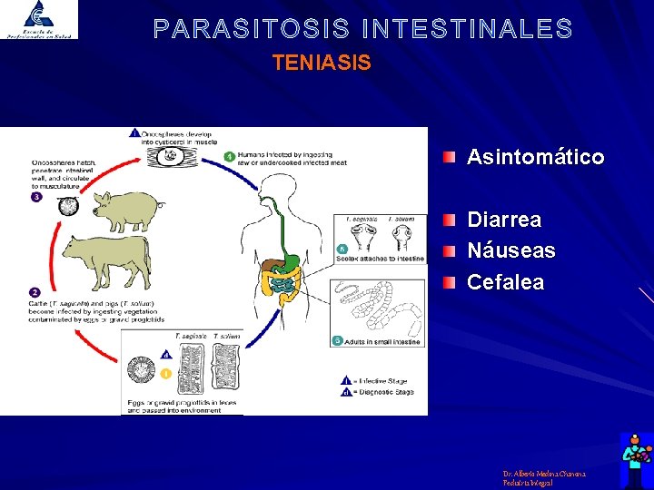 TENIASIS Asintomático Diarrea Náuseas Cefalea Dr. Alberto Medina Chanona Pediatría Integral 