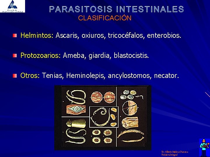 CLASIFICACIÓN Helmintos: Ascaris, oxiuros, tricocéfalos, enterobios. Protozoarios: Ameba, giardia, blastocistis. Otros: Tenias, Heminolepis, ancylostomos,