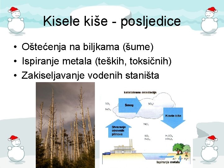 Kisele kiše - posljedice • Oštećenja na biljkama (šume) • Ispiranje metala (teških, toksičnih)