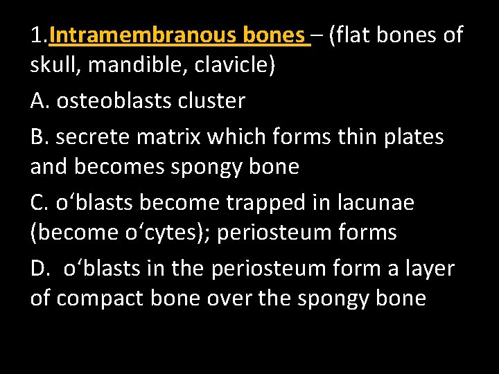 1. Intramembranous bones – (flat bones of skull, mandible, clavicle) A. osteoblasts cluster B.