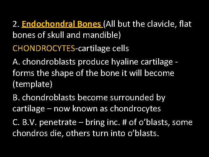 2. Endochondral Bones (All but the clavicle, flat bones of skull and mandible) CHONDROCYTES-cartilage