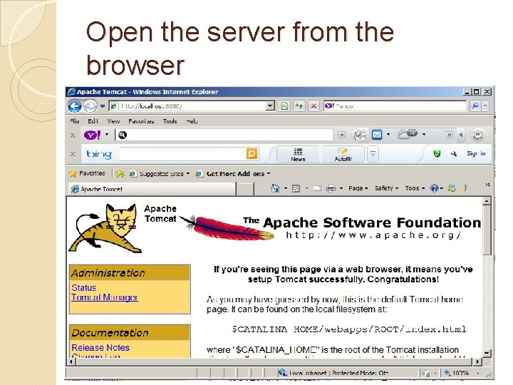 Open the server from the browser 