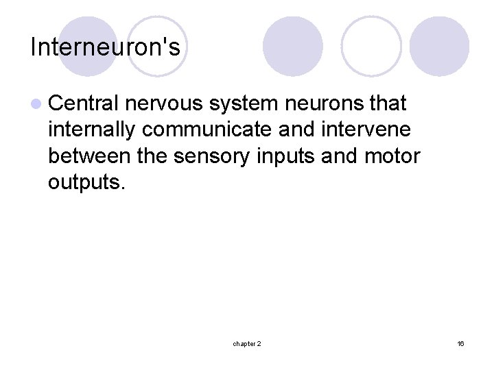Interneuron's l Central nervous system neurons that internally communicate and intervene between the sensory