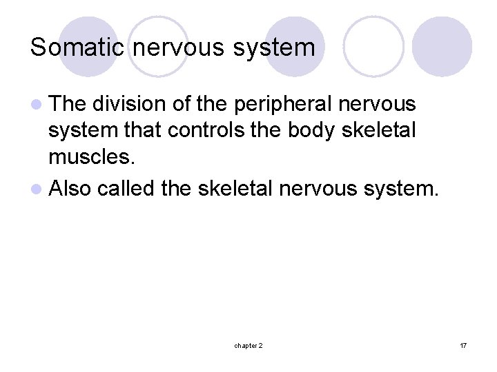 Somatic nervous system l The division of the peripheral nervous system that controls the