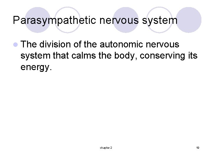 Parasympathetic nervous system l The division of the autonomic nervous system that calms the