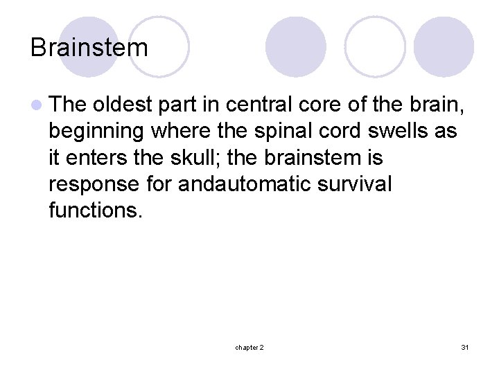Brainstem l The oldest part in central core of the brain, beginning where the