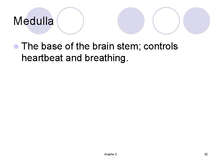 Medulla l The base of the brain stem; controls heartbeat and breathing. chapter 2