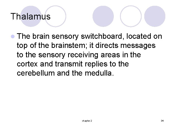 Thalamus l The brain sensory switchboard, located on top of the brainstem; it directs