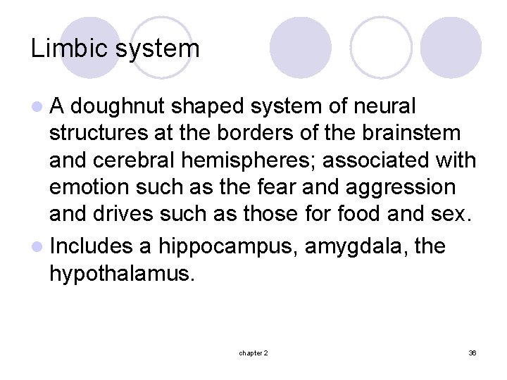 Limbic system l. A doughnut shaped system of neural structures at the borders of