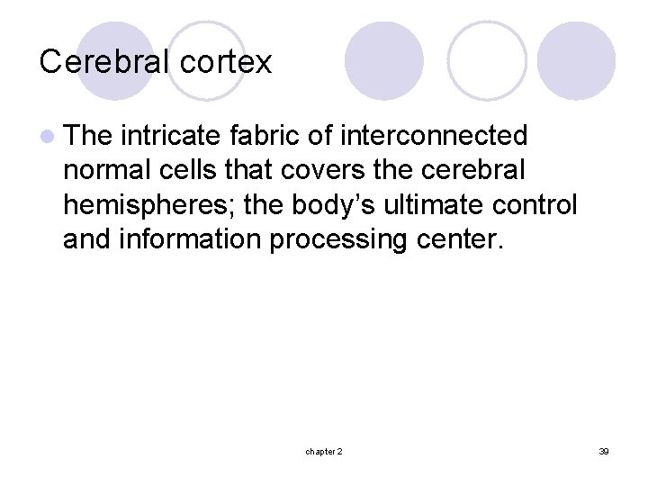 Cerebral cortex l The intricate fabric of interconnected normal cells that covers the cerebral