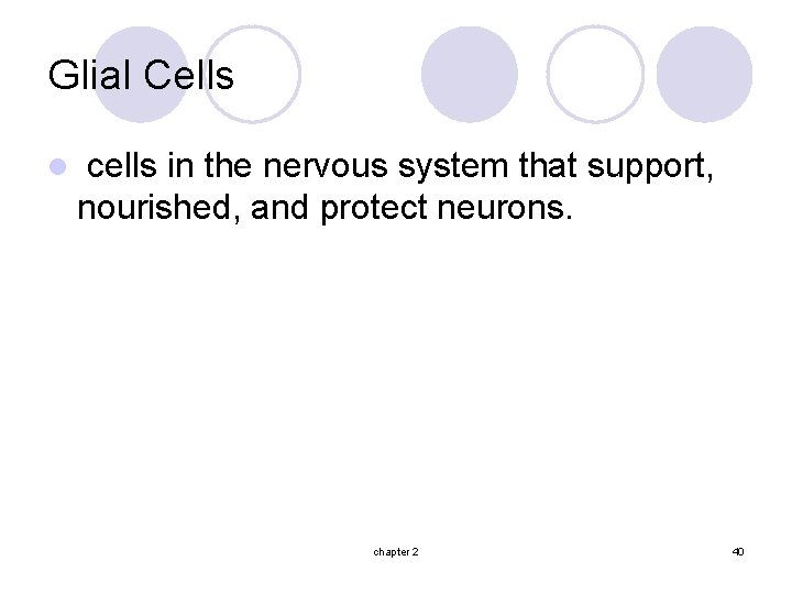 Glial Cells l cells in the nervous system that support, nourished, and protect neurons.