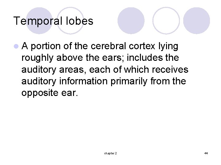 Temporal lobes l. A portion of the cerebral cortex lying roughly above the ears;