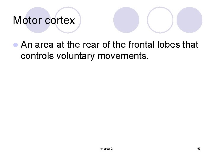 Motor cortex l An area at the rear of the frontal lobes that controls