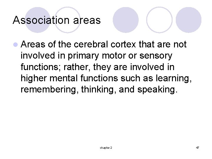 Association areas l Areas of the cerebral cortex that are not involved in primary