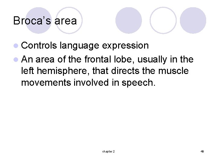 Broca’s area l Controls language expression l An area of the frontal lobe, usually