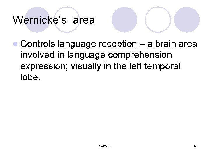 Wernicke’s area l Controls language reception – a brain area involved in language comprehension