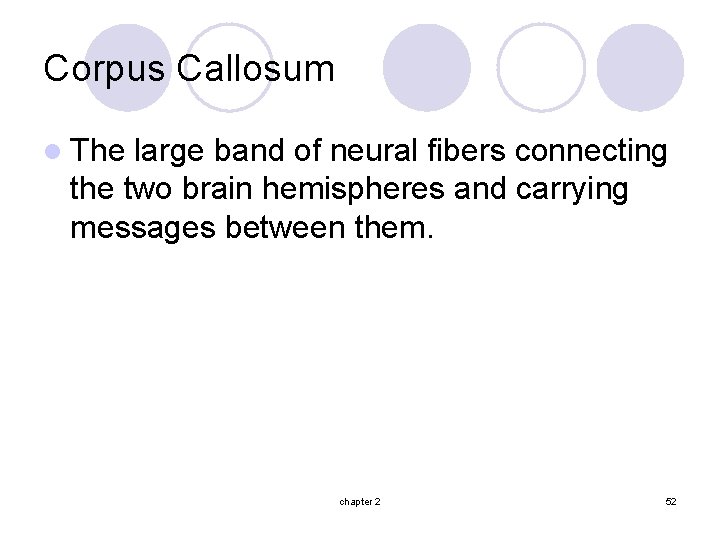Corpus Callosum l The large band of neural fibers connecting the two brain hemispheres