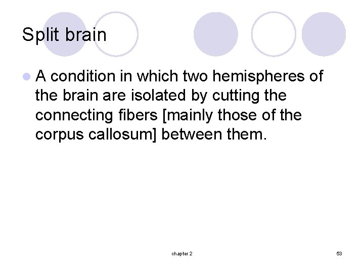 Split brain l. A condition in which two hemispheres of the brain are isolated