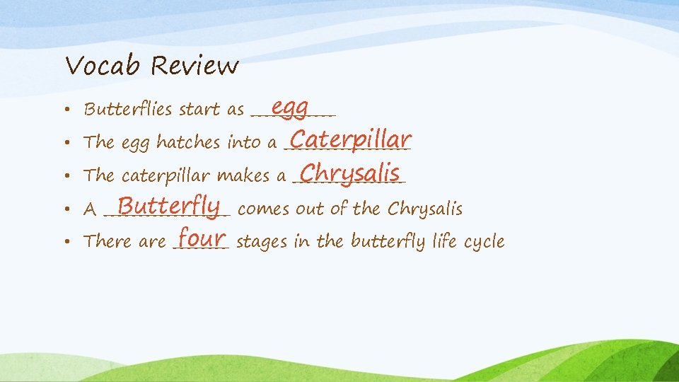 Vocab Review egg • Butterflies start as ______ Caterpillar • The egg hatches into