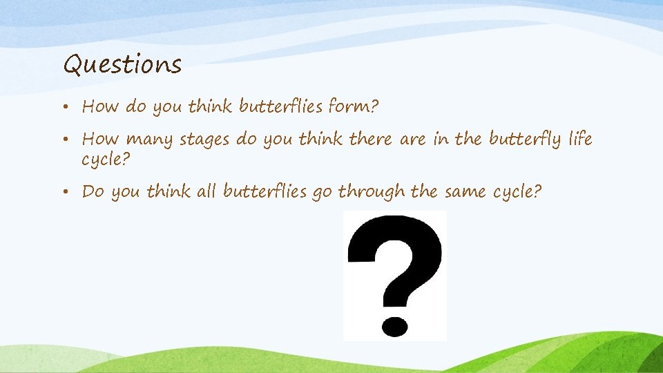 Questions • How do you think butterflies form? • How many stages do you