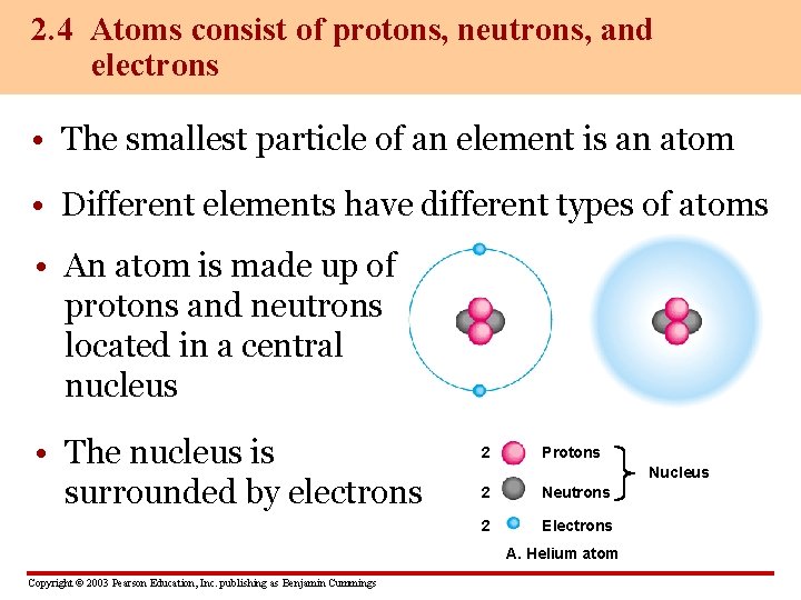 2. 4 Atoms consist of protons, neutrons, and electrons • The smallest particle of