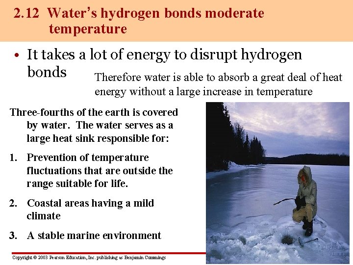 2. 12 Water’s hydrogen bonds moderate temperature • It takes a lot of energy