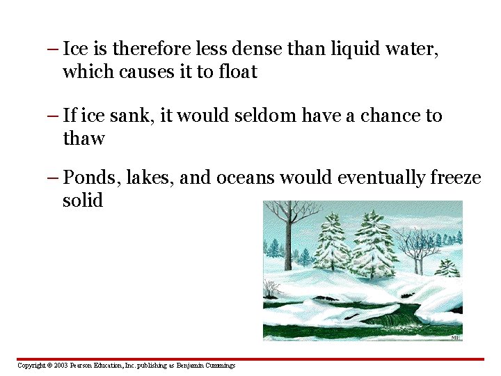 – Ice is therefore less dense than liquid water, which causes it to float