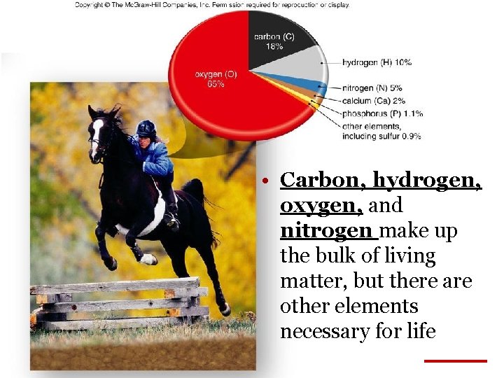  • Carbon, hydrogen, oxygen, and nitrogen make up the bulk of living matter,