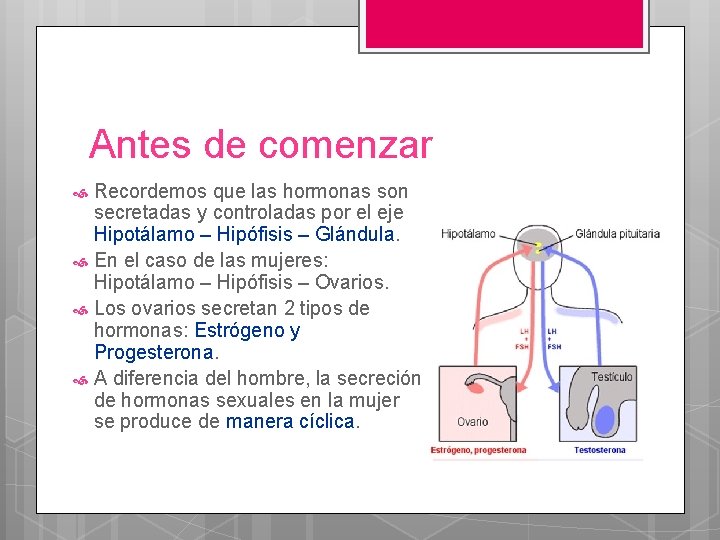Antes de comenzar Recordemos que las hormonas son secretadas y controladas por el eje
