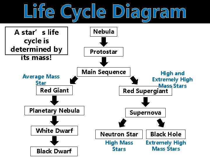 Life Cycle Diagram A star’s life cycle is determined by its mass! Average Mass