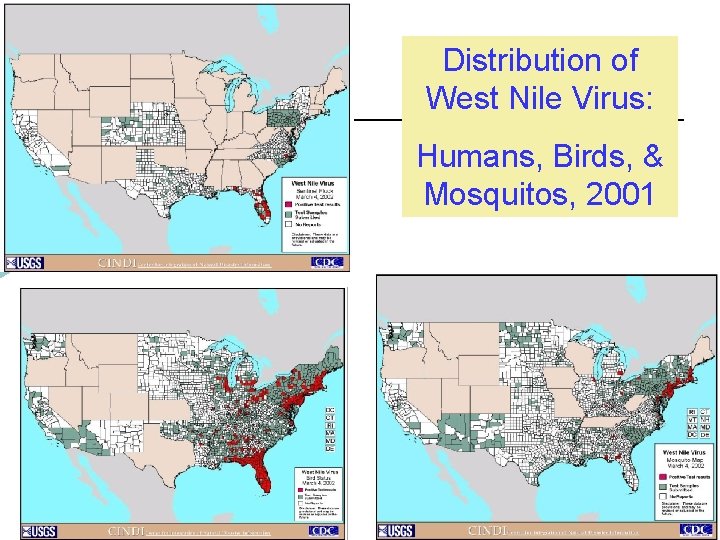 Distribution of West Nile Virus: Humans, Birds, & Mosquitos, 2001 