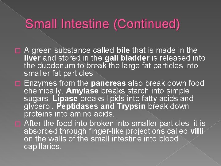 Small Intestine (Continued) A green substance called bile that is made in the liver