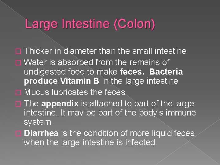 Large Intestine (Colon) Thicker in diameter than the small intestine � Water is absorbed