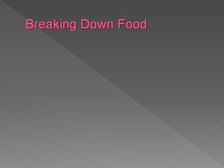 Breaking Down Food 