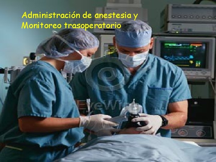 Administración de anestesia y Monitoreo trasoperatorio 