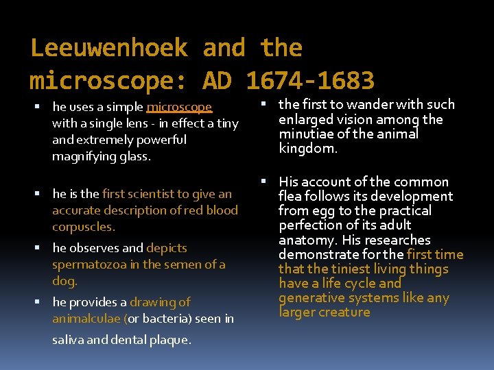 Leeuwenhoek and the microscope: AD 1674 -1683 he uses a simple microscope with a