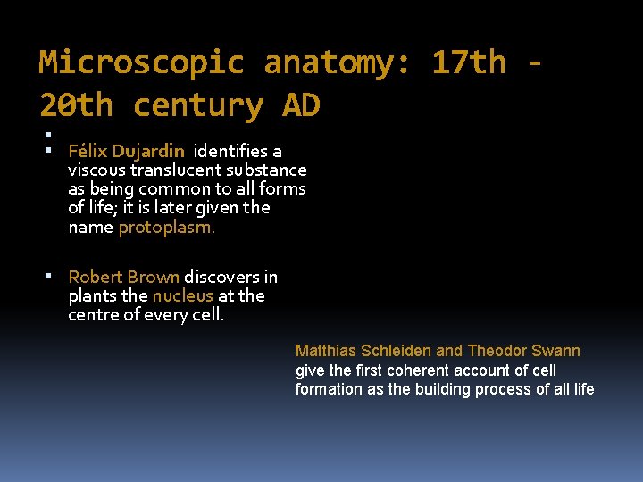 Microscopic anatomy: 17 th 20 th century AD Félix Dujardin identifies a viscous translucent