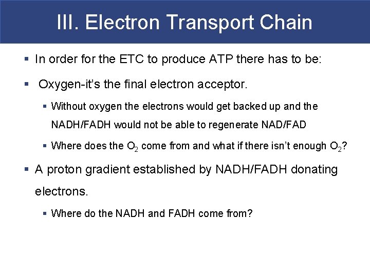 III. Electron Transport Chain § In order for the ETC to produce ATP there
