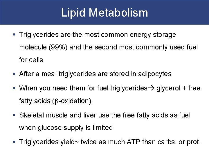 Lipid Metabolism § Triglycerides are the most common energy storage molecule (99%) and the