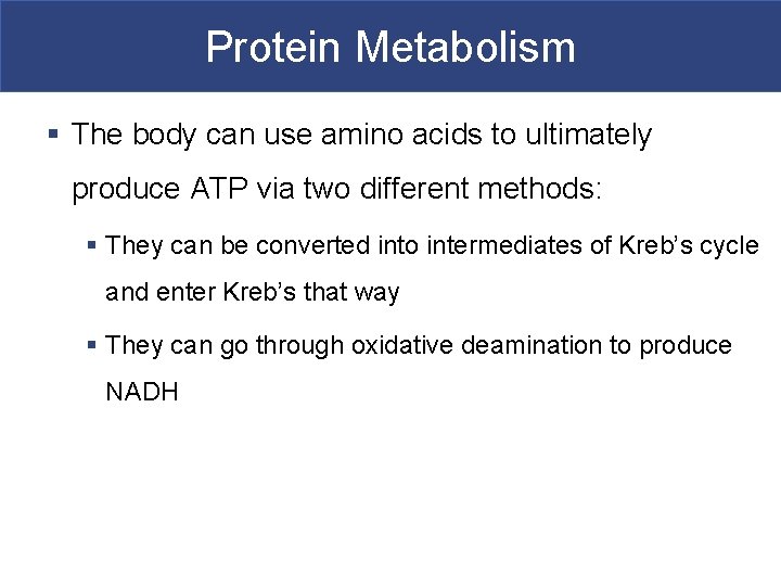 Protein Metabolism § The body can use amino acids to ultimately produce ATP via