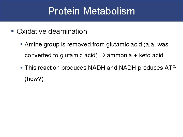 Protein Metabolism § Oxidative deamination § Amine group is removed from glutamic acid (a.