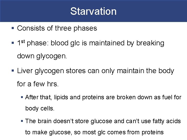 Starvation § Consists of three phases § 1 st phase: blood glc is maintained