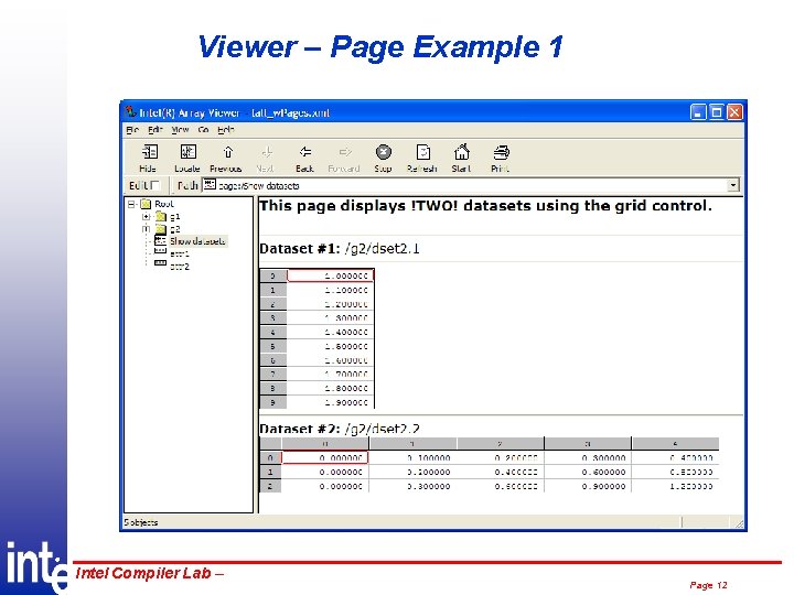 Viewer – Page Example 1 ® Intel Compiler Lab – Page 12 