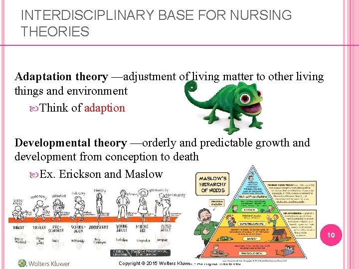 INTERDISCIPLINARY BASE FOR NURSING THEORIES Adaptation theory —adjustment of living matter to other living