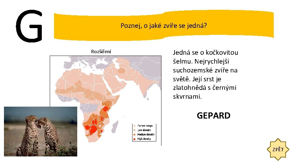 G Poznej, o jaké zvíře se jedná? Rozšíření Jedná se o kočkovitou šelmu. Nejrychlejší