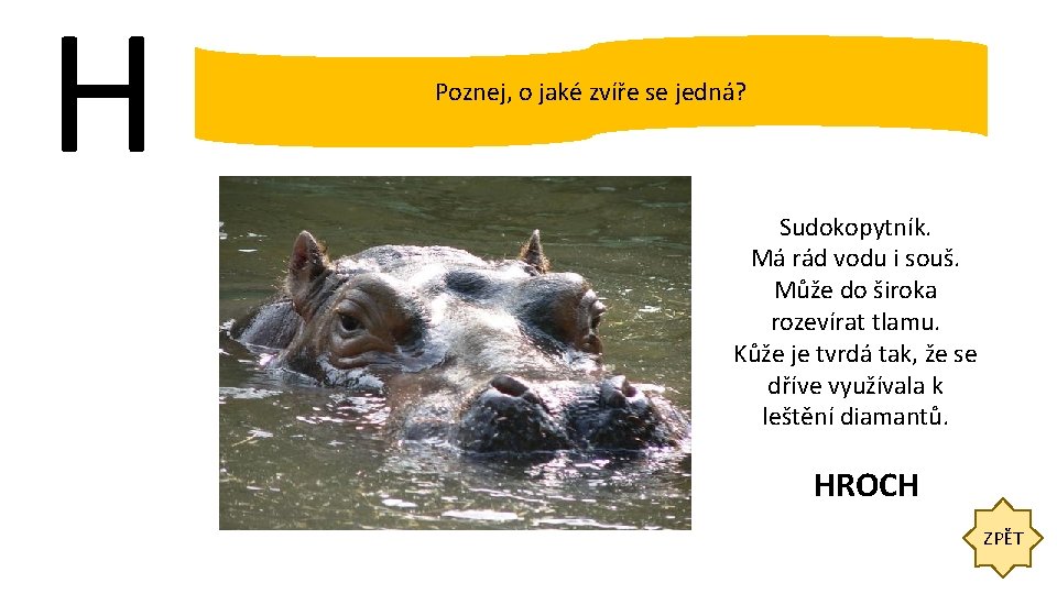 H Poznej, o jaké zvíře se jedná? Sudokopytník. Má rád vodu i souš. Může