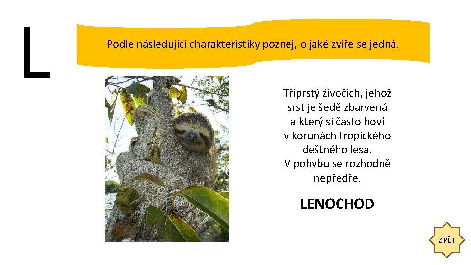 L Podle následující charakteristiky poznej, o jaké zvíře se jedná. Tříprstý živočich, jehož srst