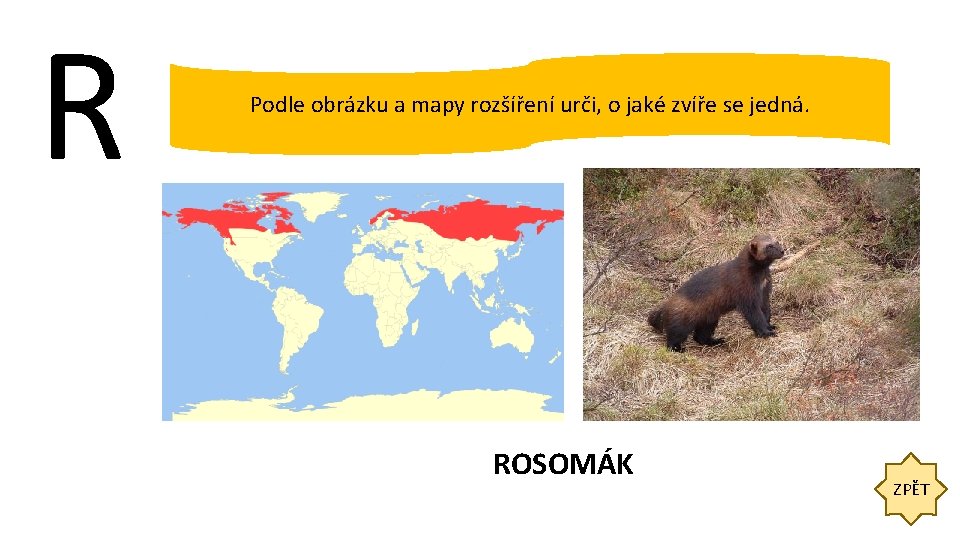 R Podle obrázku a mapy rozšíření urči, o jaké zvíře se jedná. ROSOMÁK ZPĚT