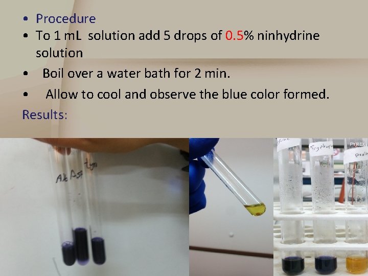  • Procedure • To 1 m. L solution add 5 drops of 0.